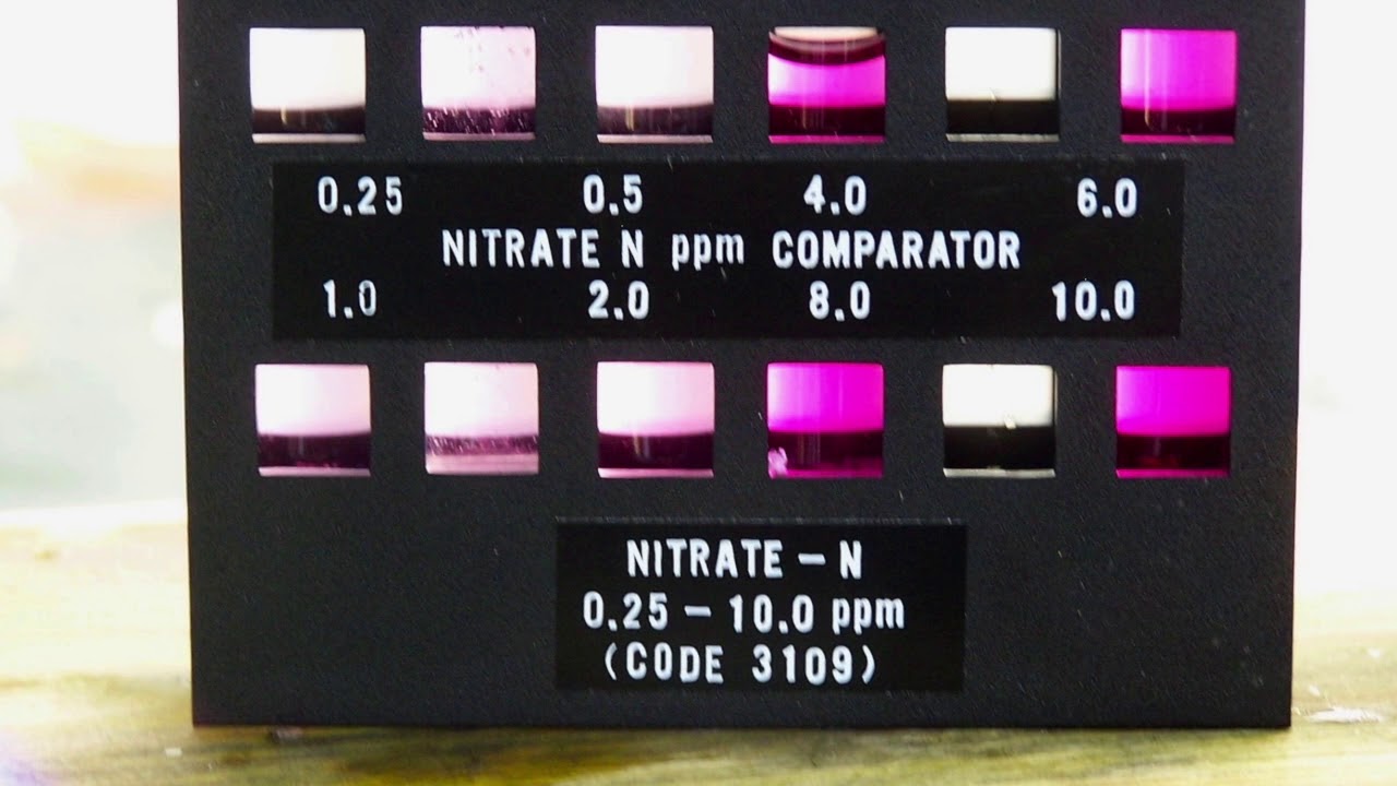 The truth about Nitrates and bacteria and what pet supply manufactures don’t what you to know.