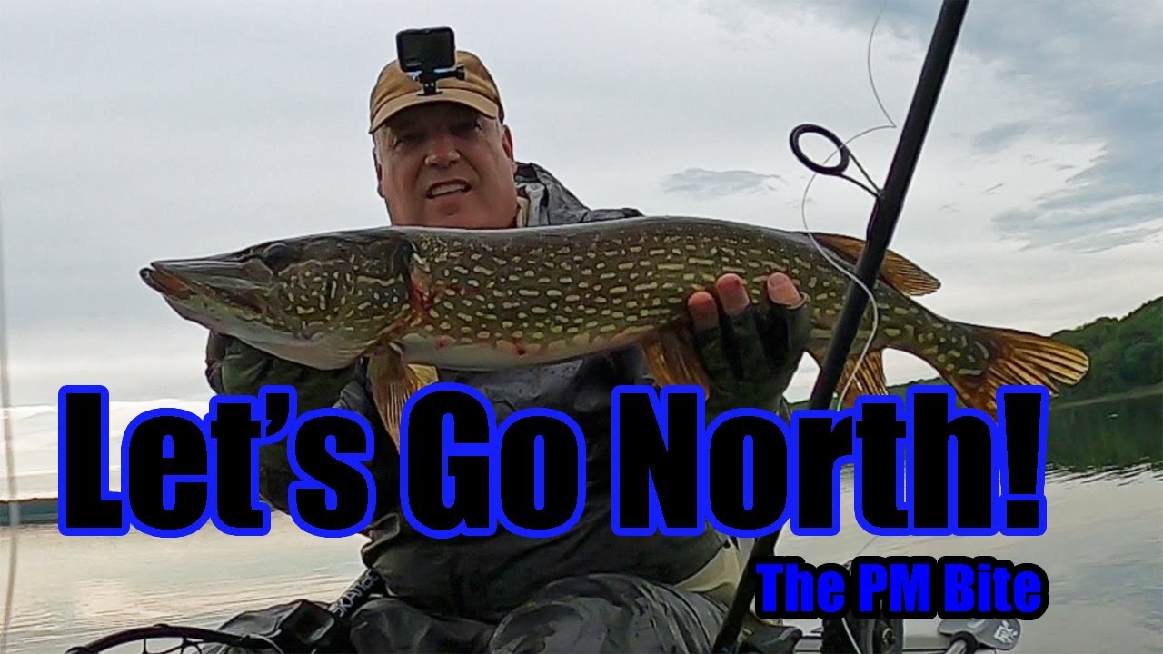 Let's Go Up North Part 2... Northern Pike!