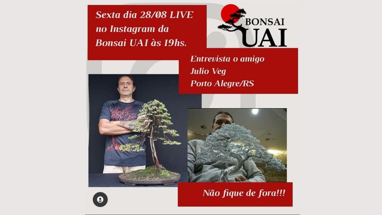 LIVE da Bonsai UAI com nosso amigo Julio Veg