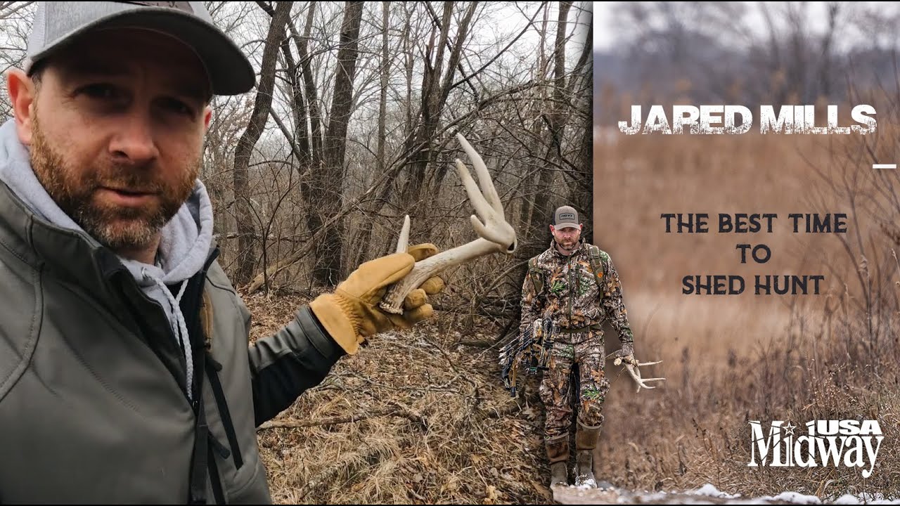 The Best Time to Shed Hunt | Jared Mills