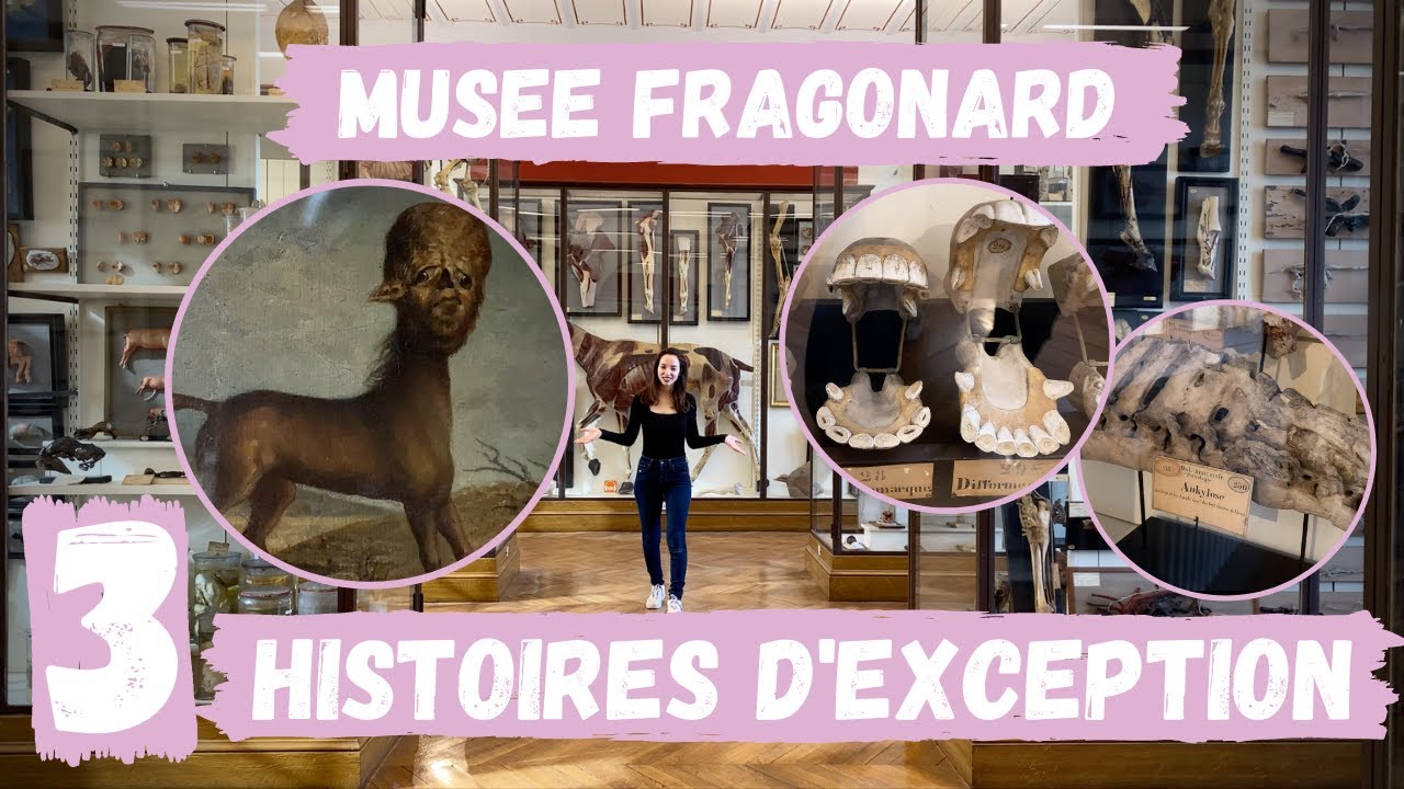 3 histoires d'exception du musée Fragonard racontées par son directeur et présentation du musée