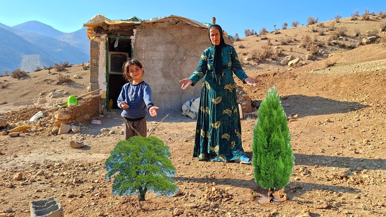 Сажаем надежду 🌱✨ Марзие, бездомная женщина, выращивает фруктовые деревья 🍎🌳