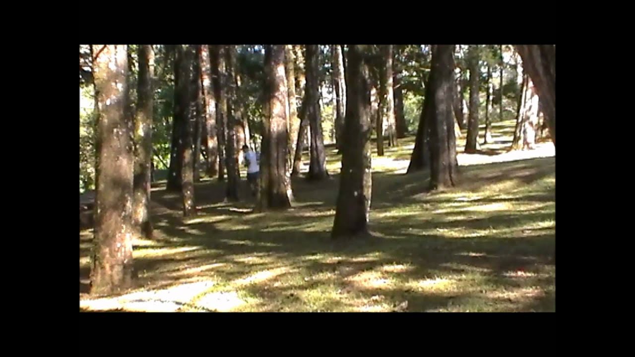 Entrenamiento para montañismo - Parte 1