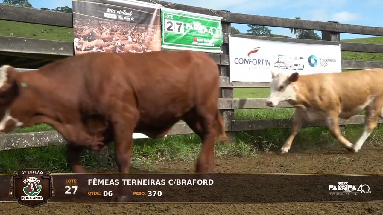 LOTE 27 - 2° Leilão Virtual Fazenda Dona Anita, PINHALZINHO/SC - 24/03/2026 19:00h