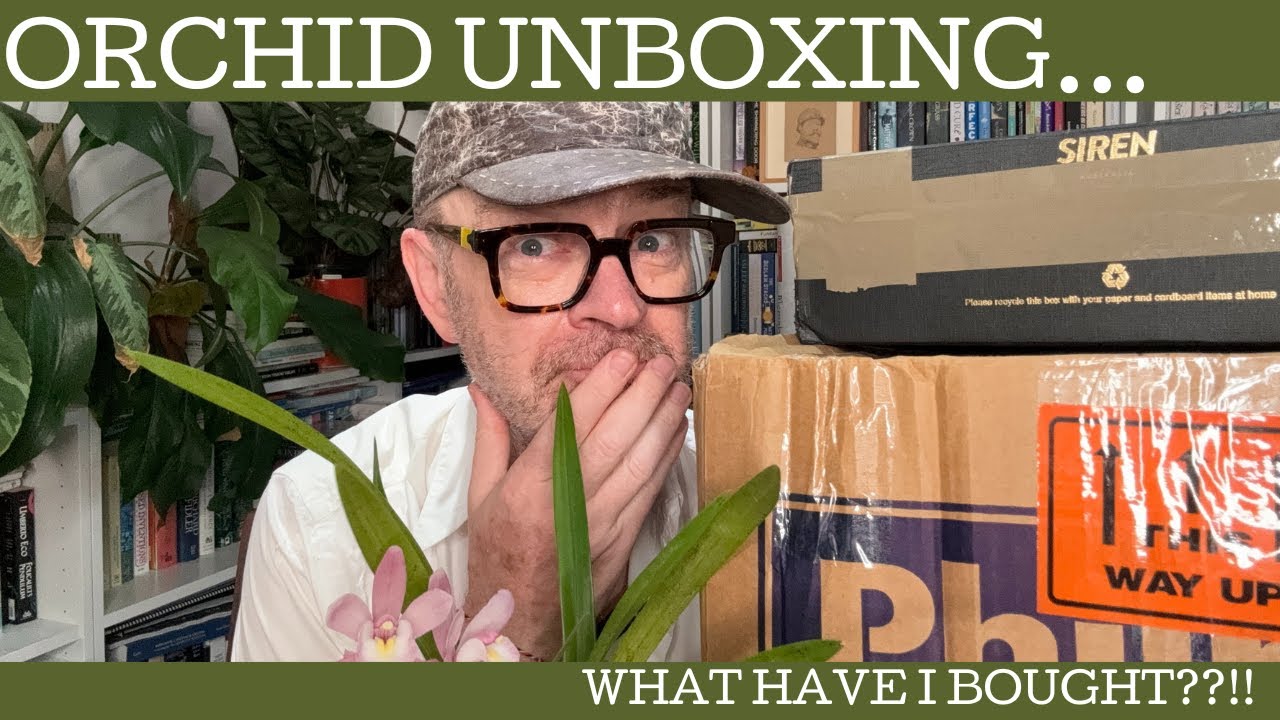 Orchid unboxing: what have I bought???