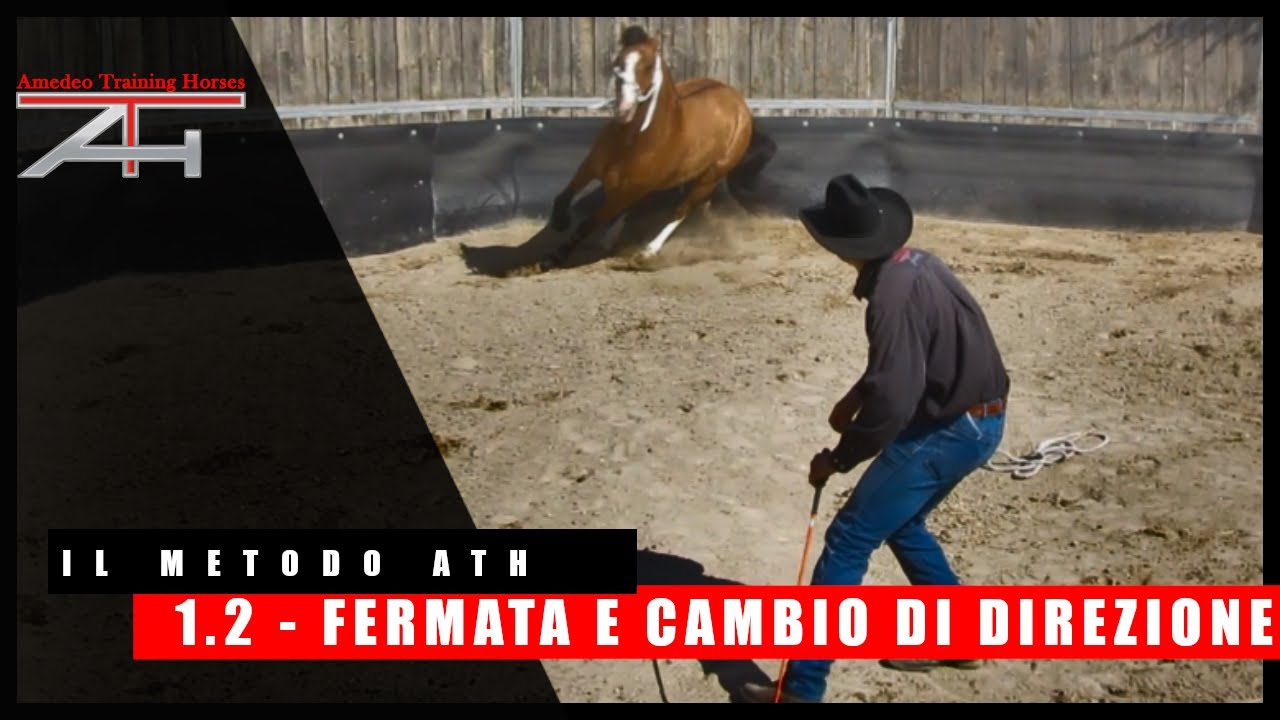 I.02 - La fermata e cambio di direzione