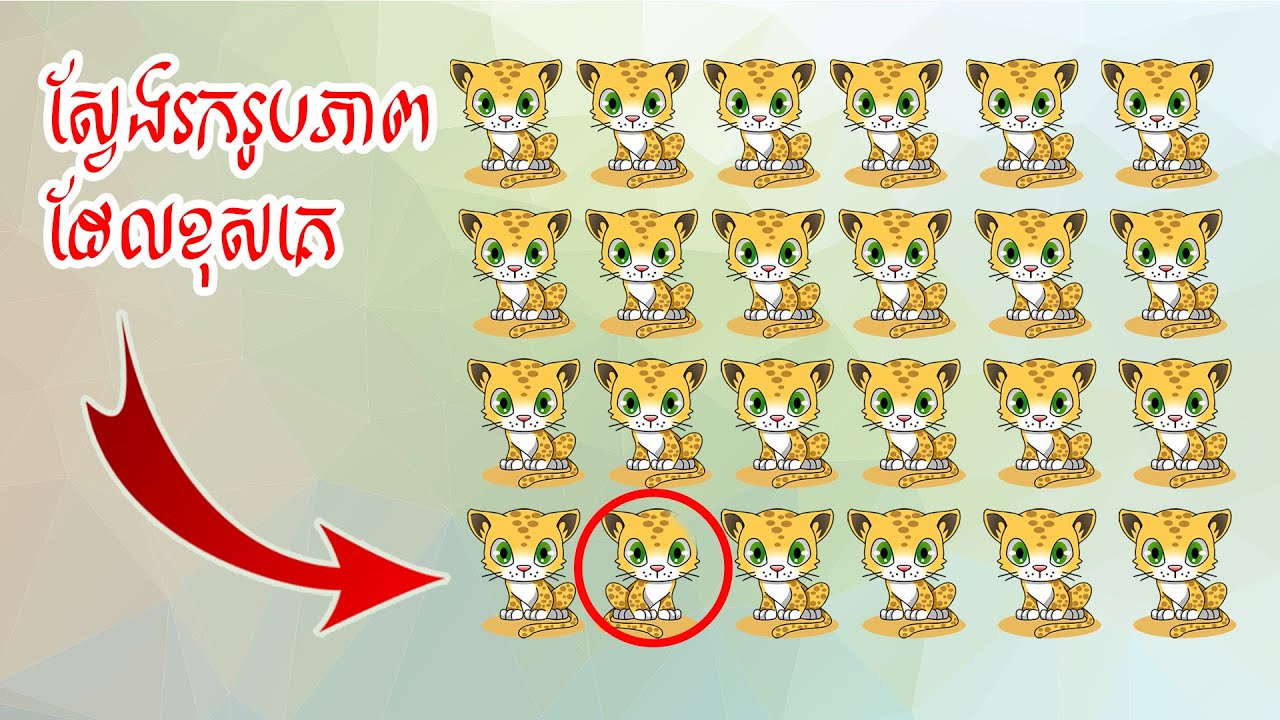 តោះ! លេងស្វែងរករូបភាពដែលខុសគេ