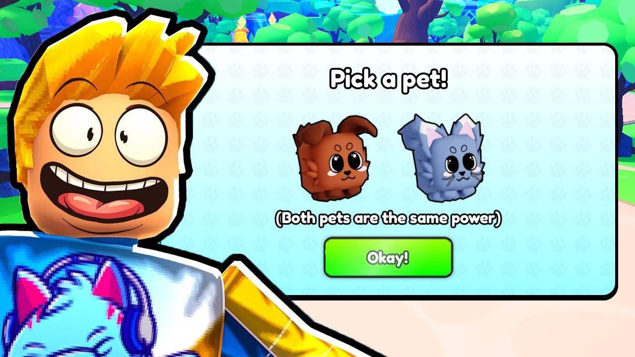 ROBLOX PET ODYSSEY