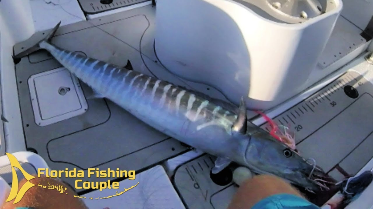High Speed Trolling for Wahoo - SOLO in Key Largo