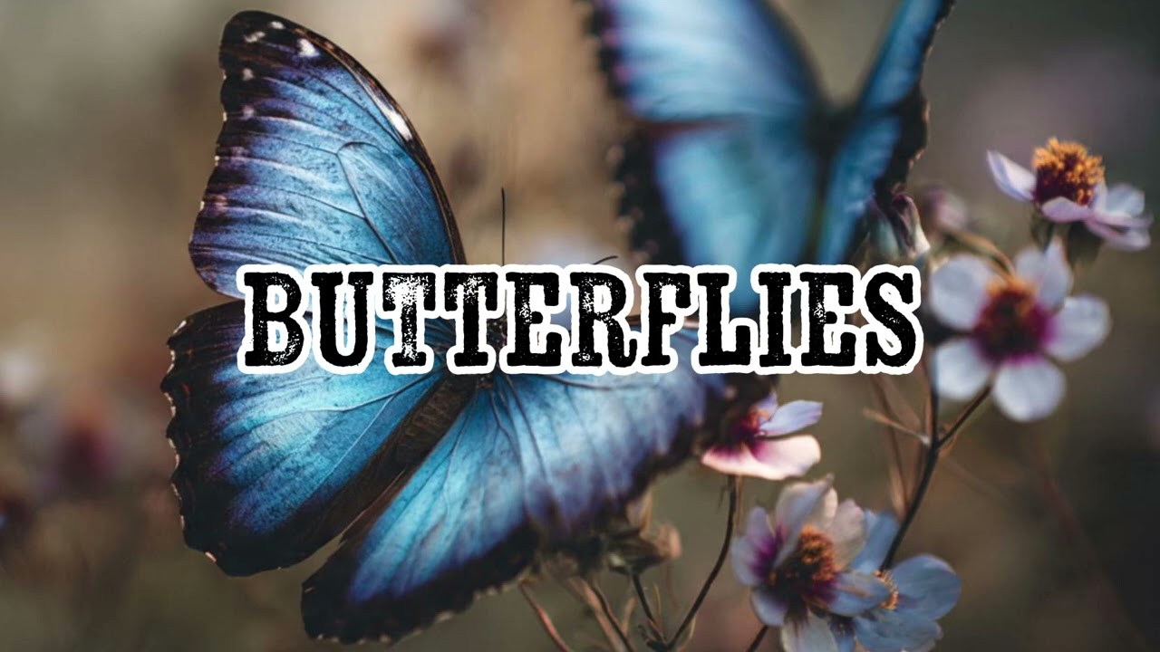 Butterflies - AIsaac