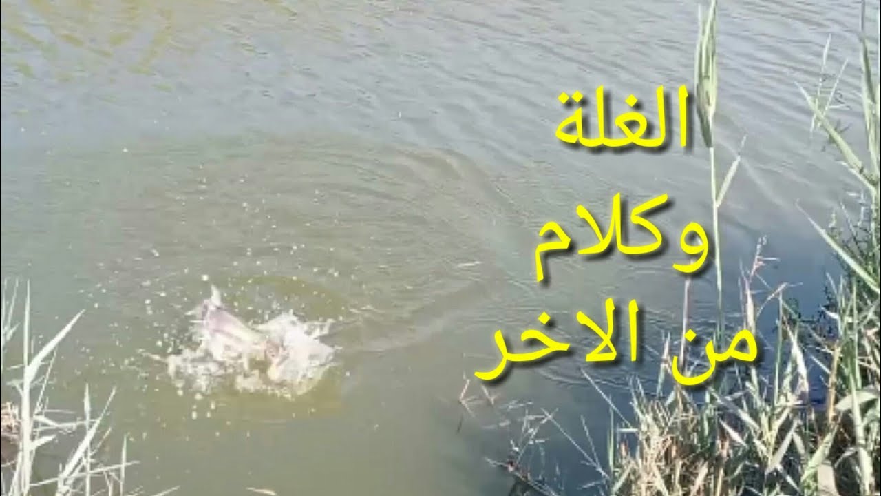 صيد غلة وكلام مهم لو عوز تجيب سمك🔥