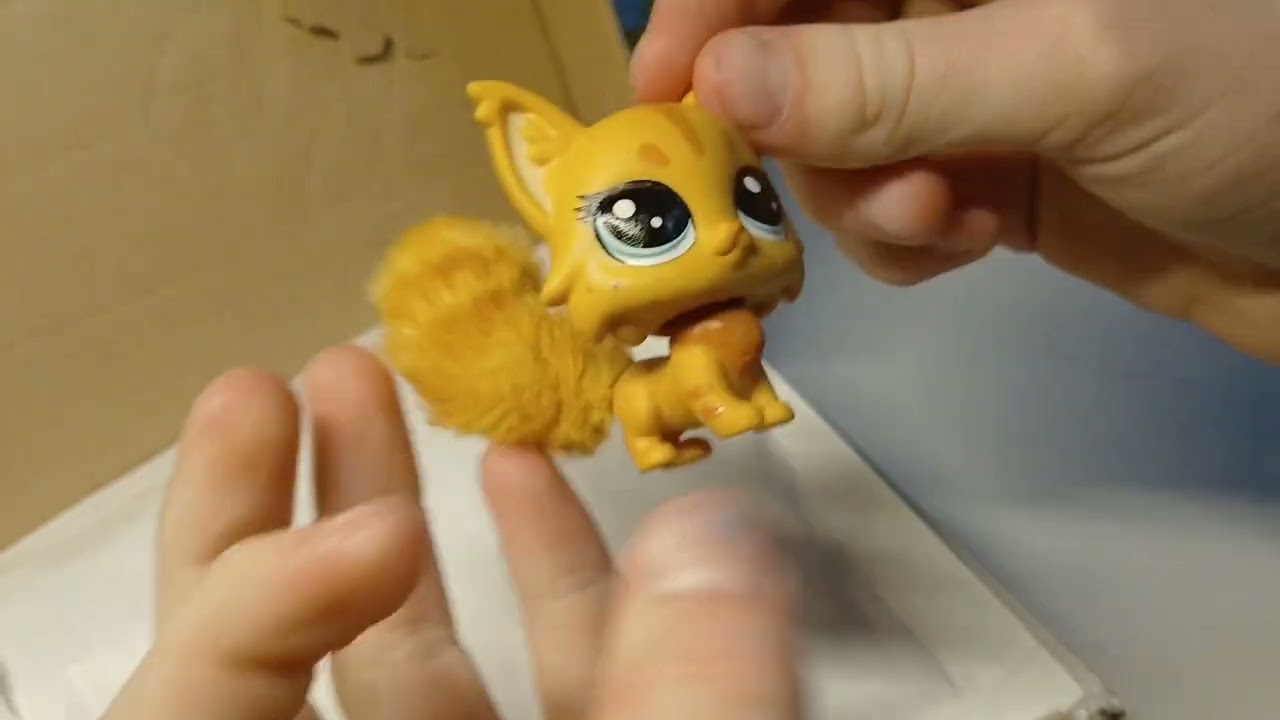 Littest pet shop Maine coon fluffy tail cat unboxing!