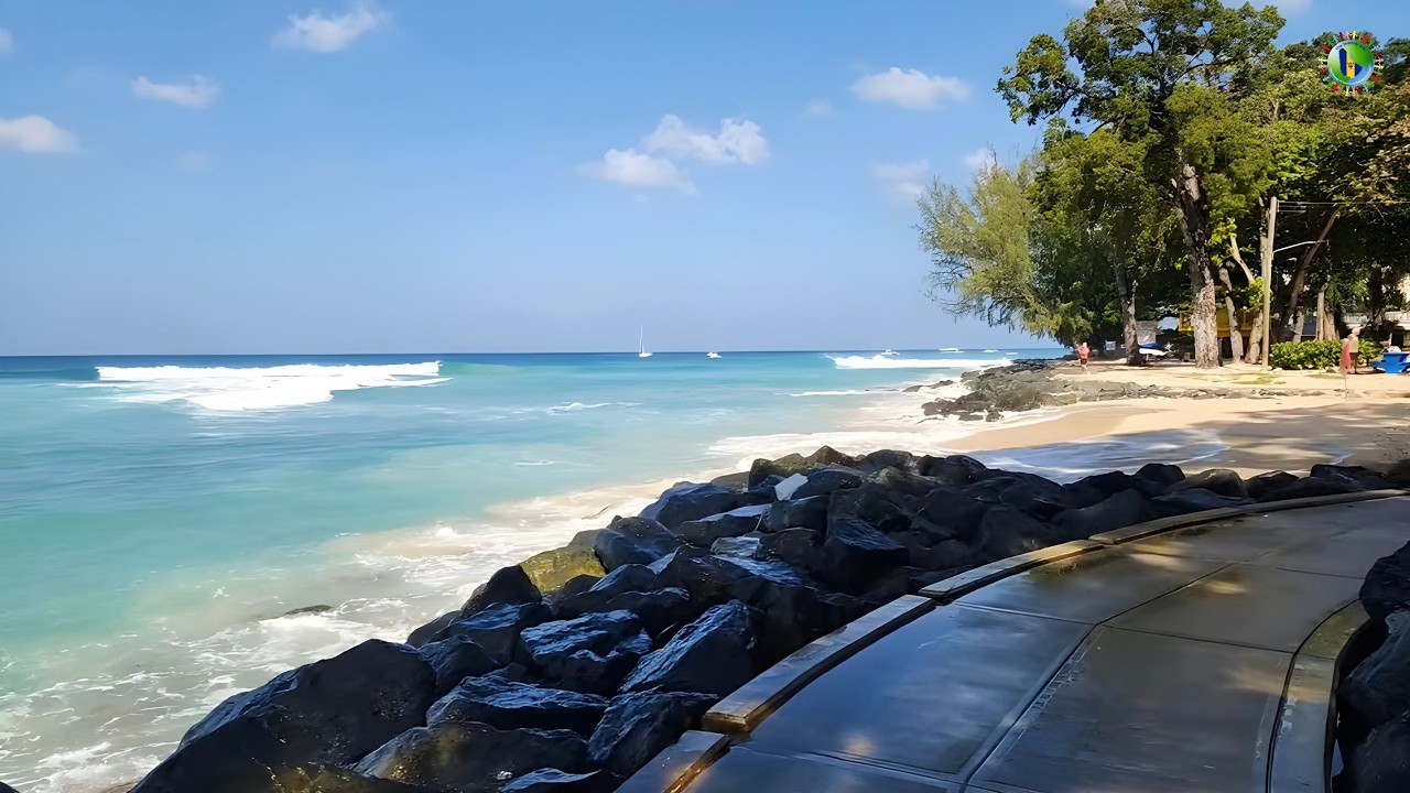 February 10, 2026 - The Beauty & Power of North Swells at Folkestone Park (Barbados Live)