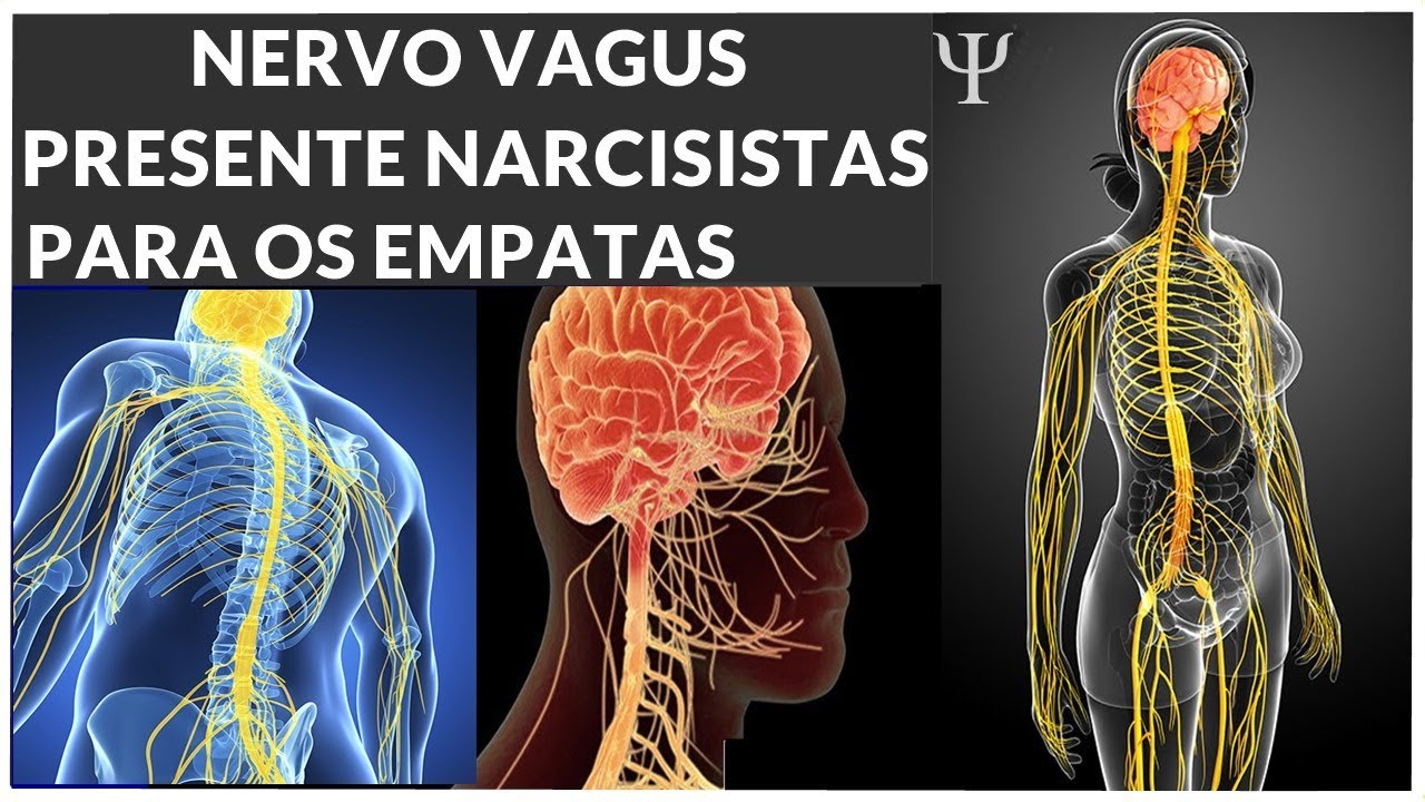 PRESENTE QUE O NARCISISTA DEIXA PARA O EMPATA- PSICOLOGIA SOCIAL