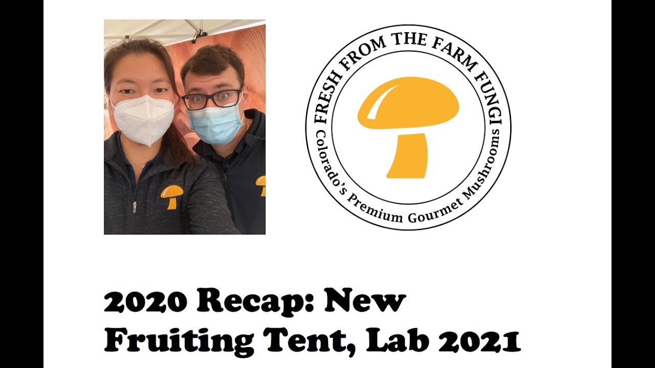2020 Recap, New Fruiting Tent and New Lab Build