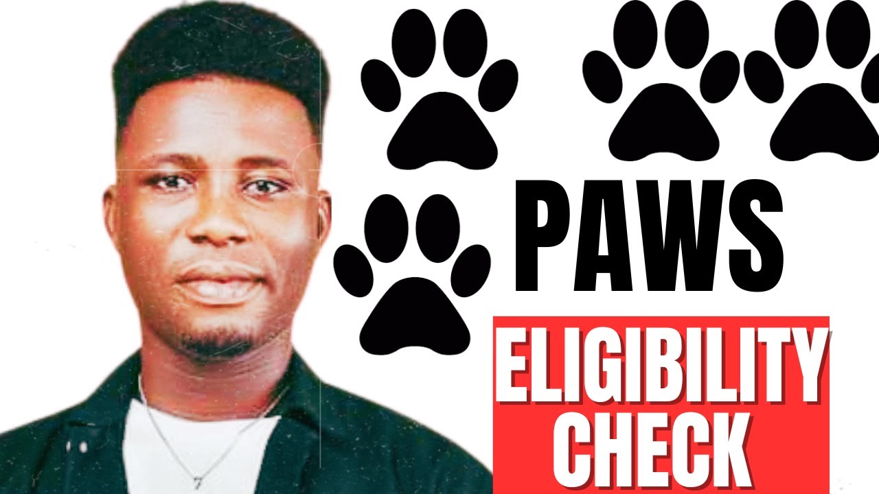 Unlock Your PAWS Airdrop: Check Your Eligibility NOW!
