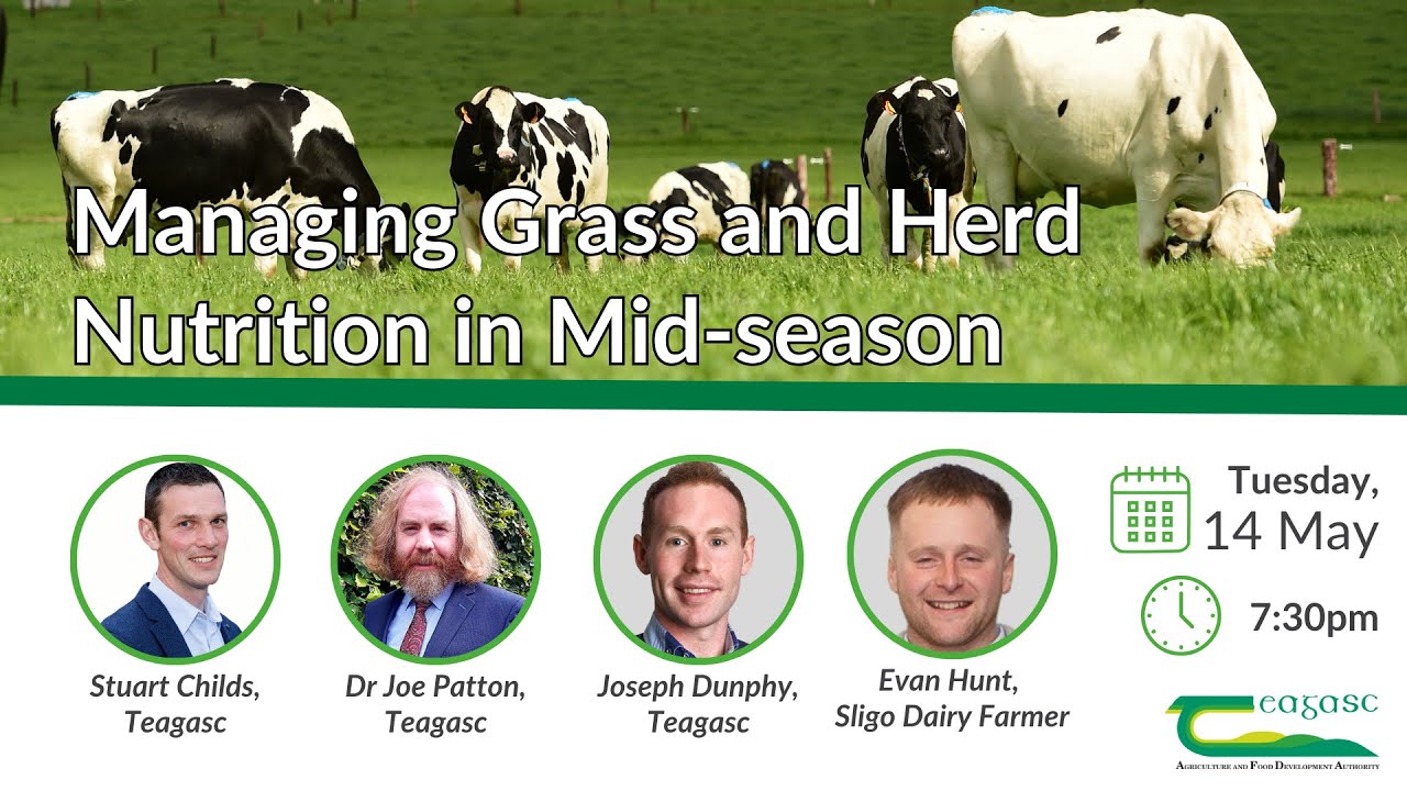 Managing grass and herd nutrition in mid season - Webinar