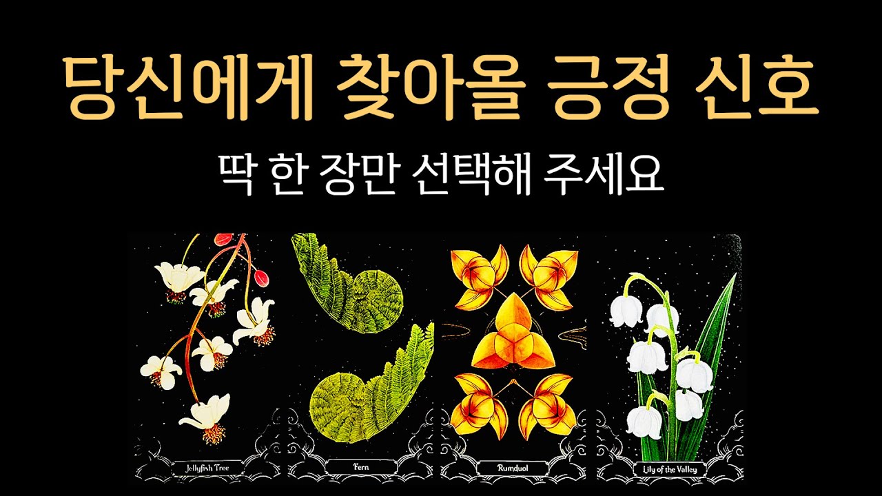 [타로] 당신에게 찾아올 긍정 신호