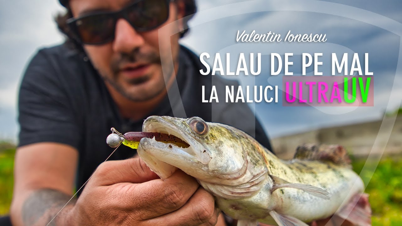 Pescuit la Salau de pe mal pe lacul Tancabesti - noile culori ULTRA UV ale nalucilor FOX RAGE