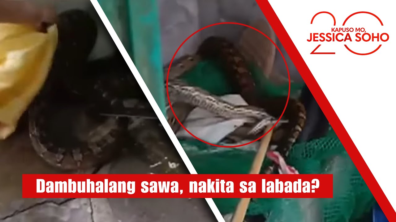 Dambuhalang sawa, nakita sa labada? | Kapuso Mo, Jessica Soho