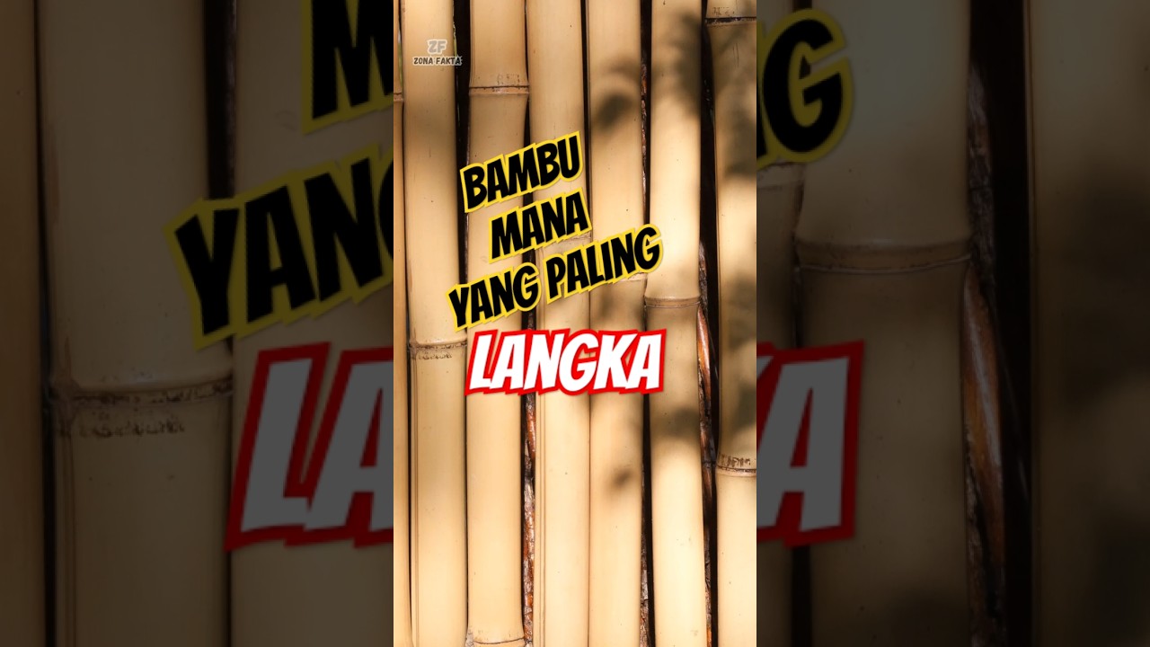 Fakta Unik! 1600 Jenis Bambu di Dunia, Mana Yang Paling Langka?