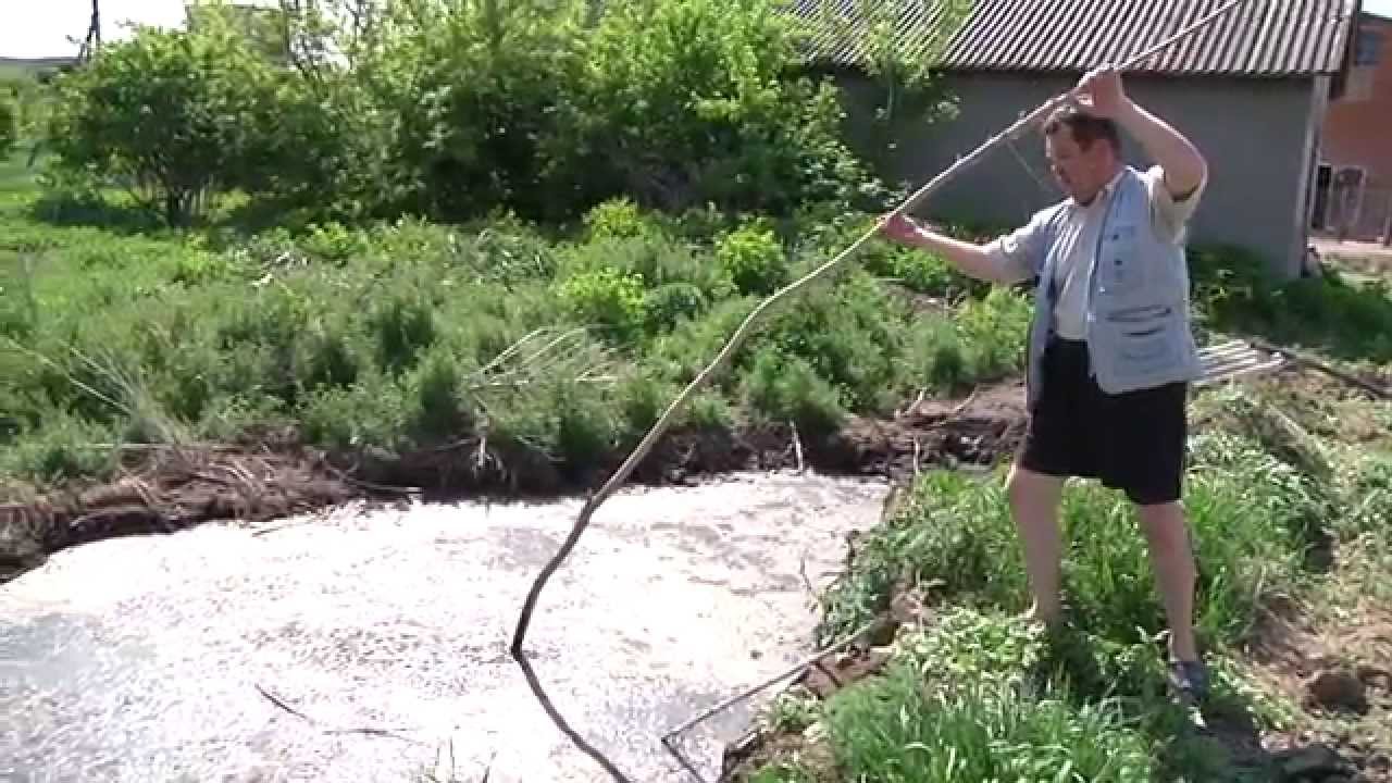 Люди чи свині: громада с.Брідок досі воює з місцевою свинофермою
