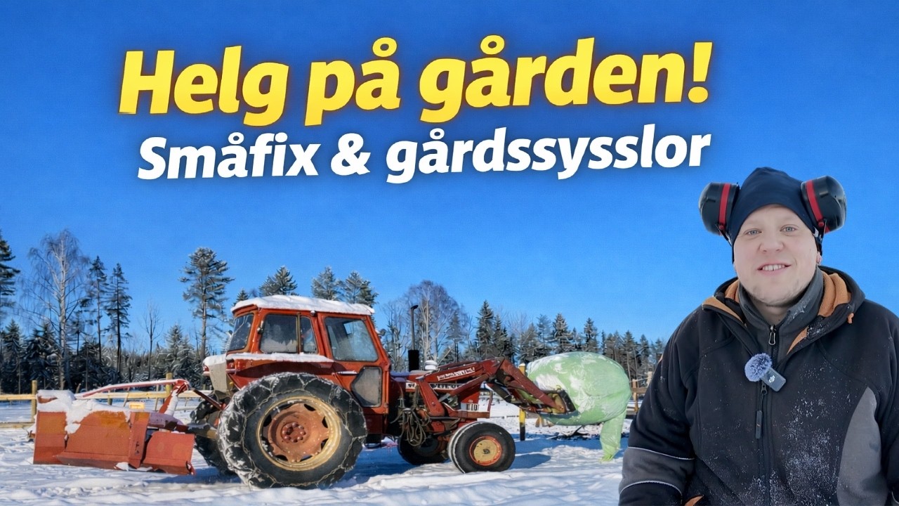 Små steg framåt – trots allt… jag har ju svaret inom mig