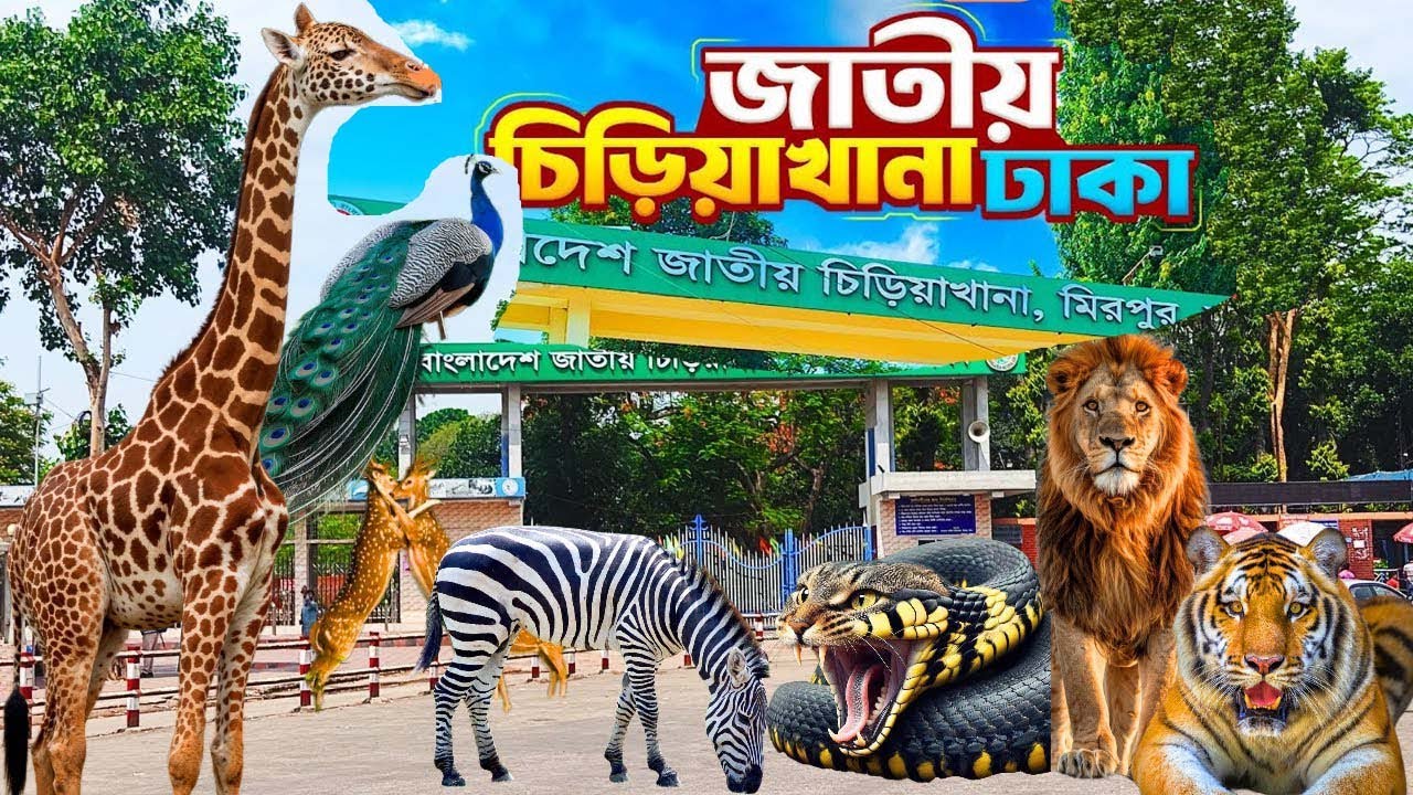 বাংলাদেশ জাতীয় চিড়িয়াখানা ভ্রমনের সবকিছু একসাথে  মিরপুর,ঢাকা  Bangladesh National Zoo,Dhaka (part 2)