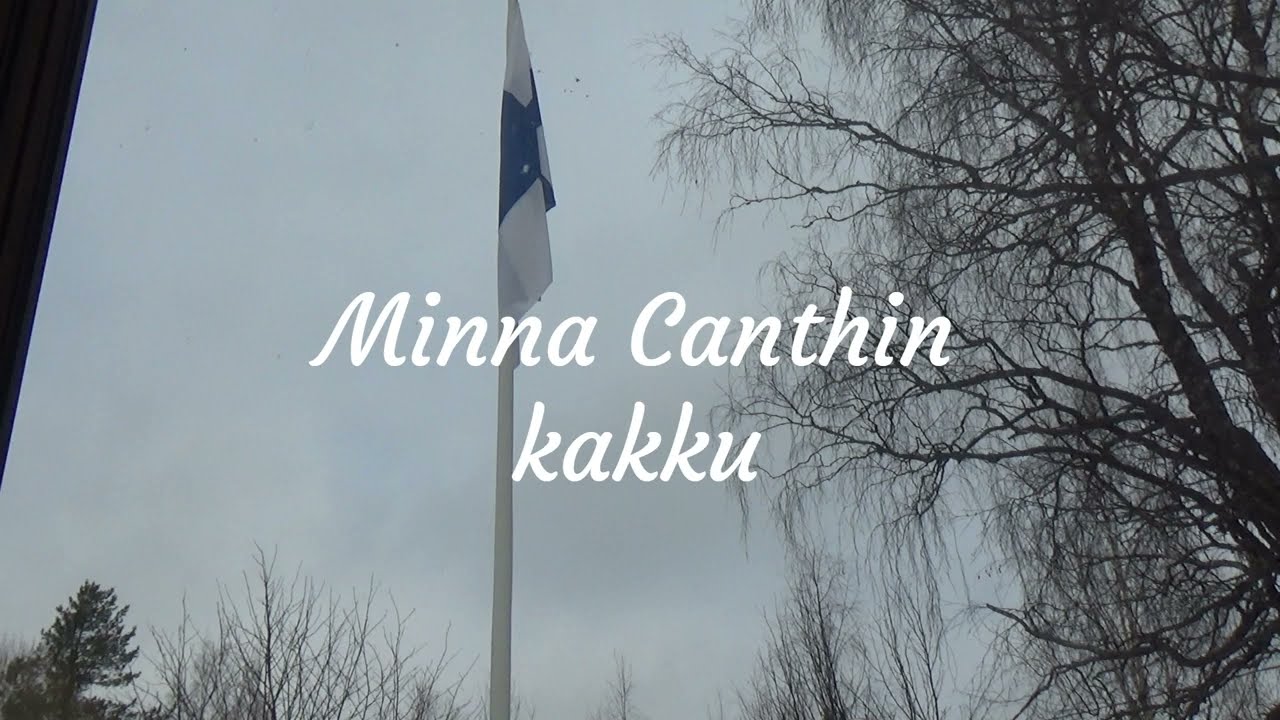 Minna Canthin kakku