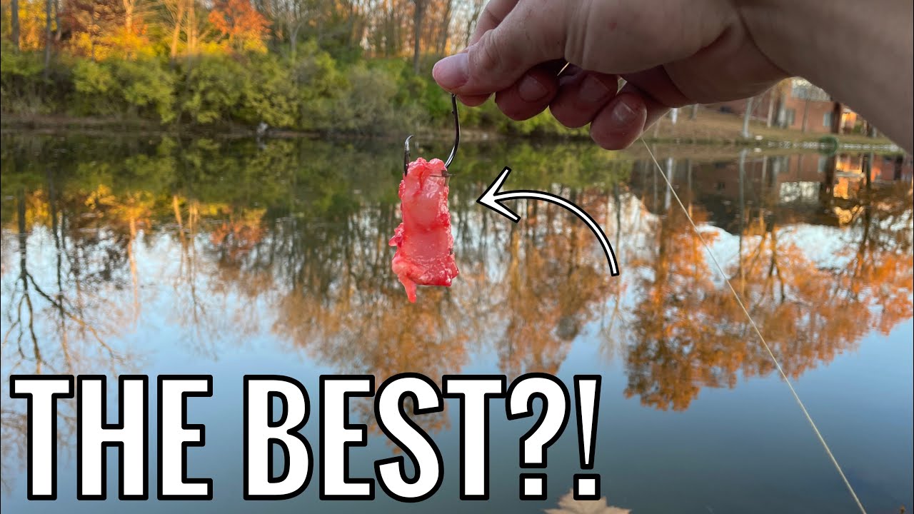 Catching CATFISH On STRAWBERRY CHICKEN BREAST (Best Bait of All Time?!)