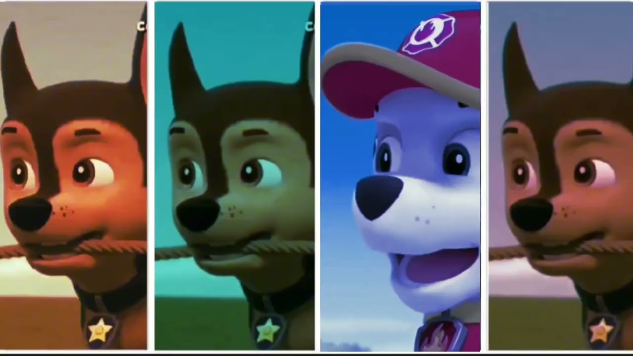 PAW Patrol - Coffin Dance Song (Cover) #26