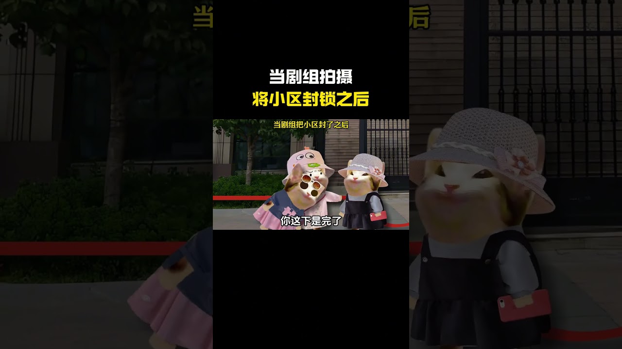 当剧组拍摄将小区封锁之后#cheems #cheems小剧场 #搞笑 #funny #熱門