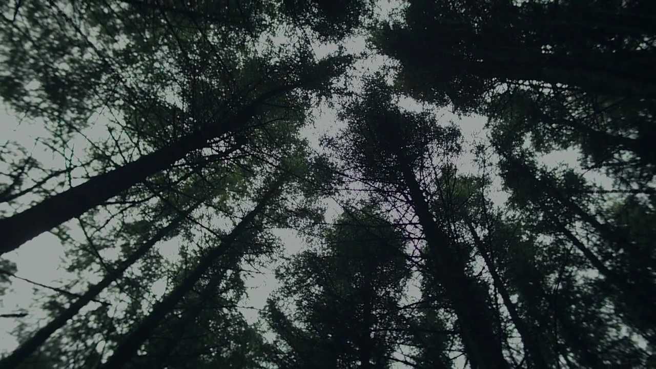 Paul Thomas Saunders - A Lunar Veteran's Guide to Re-entry [Official Music Video]