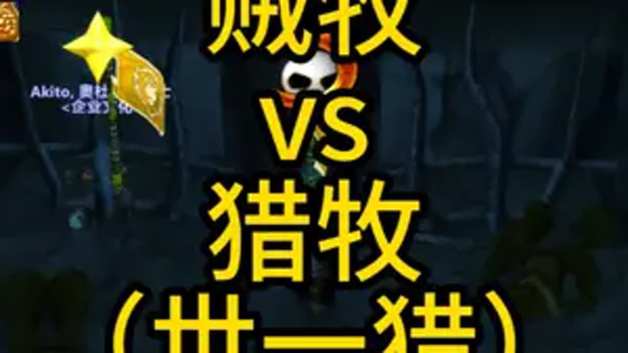 贼牧vs猎牧（世一猎） 魔兽世界pvp 魔兽世界怀旧服