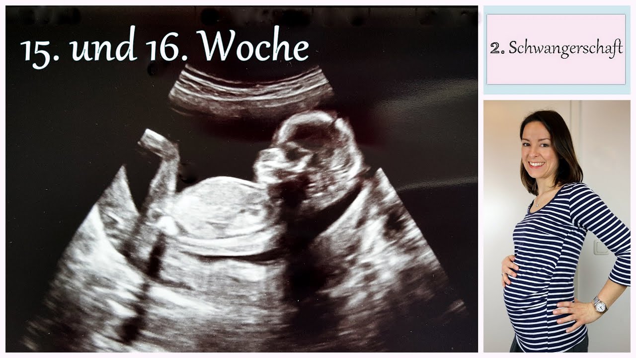 Schwangerschaftsupdate | 15. und 16. Woche | Hebamme und Frauenarzt | gabelschereblog