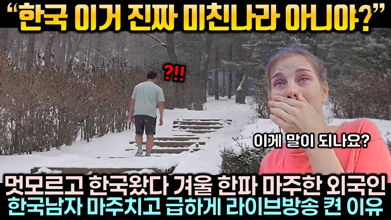 한국 여행왔다가 겨울 한파 마주한 외국인이 한국남자 뒷모습 보고 급하게 라이브방송 켠 이유