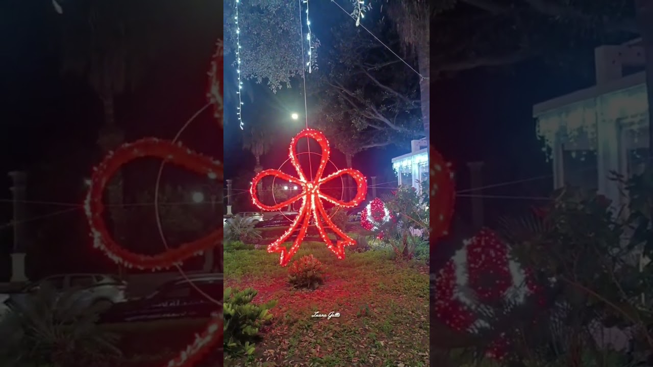Potesse ogni luce natalizia spegnere la cattiveria...(Reggio Calabria dicembre 2025)