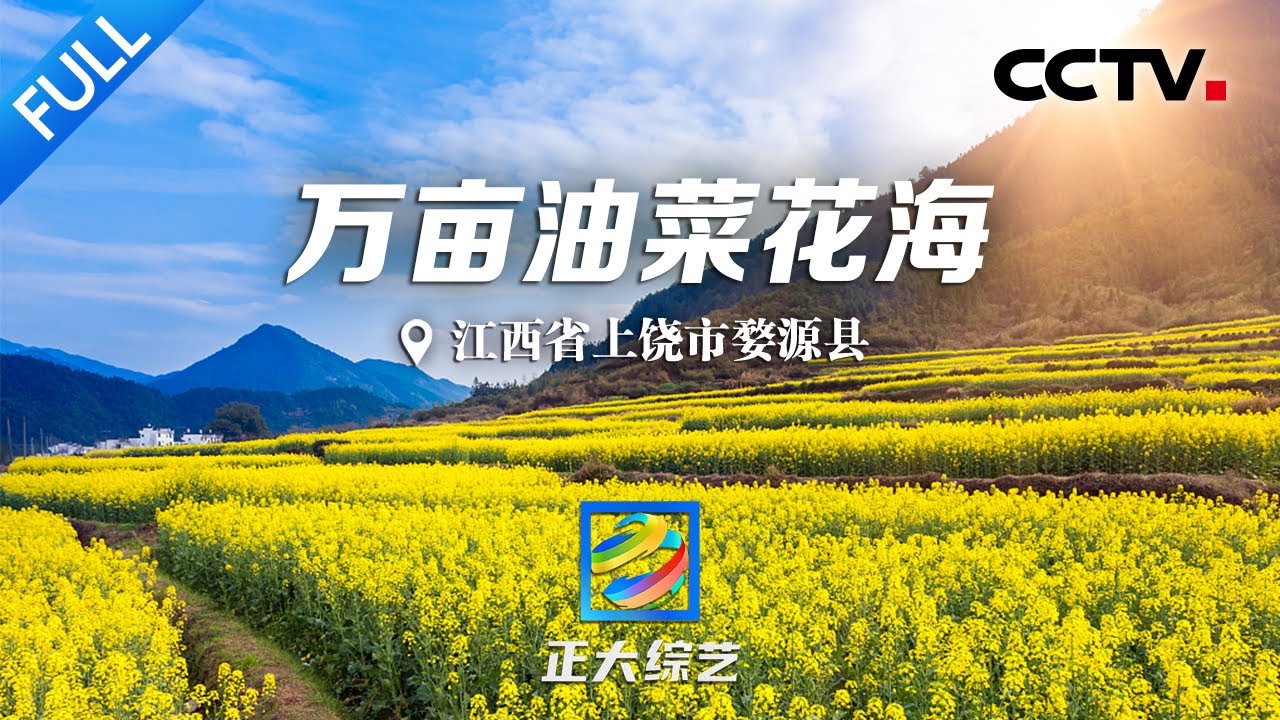 【Full】江西省上饶市婺源县旅行线路攻略来啦！置身万亩油菜花的金色海洋，看2000多对鸳鸯戏水的盛大景象 | CCTV「正大综艺」20230430