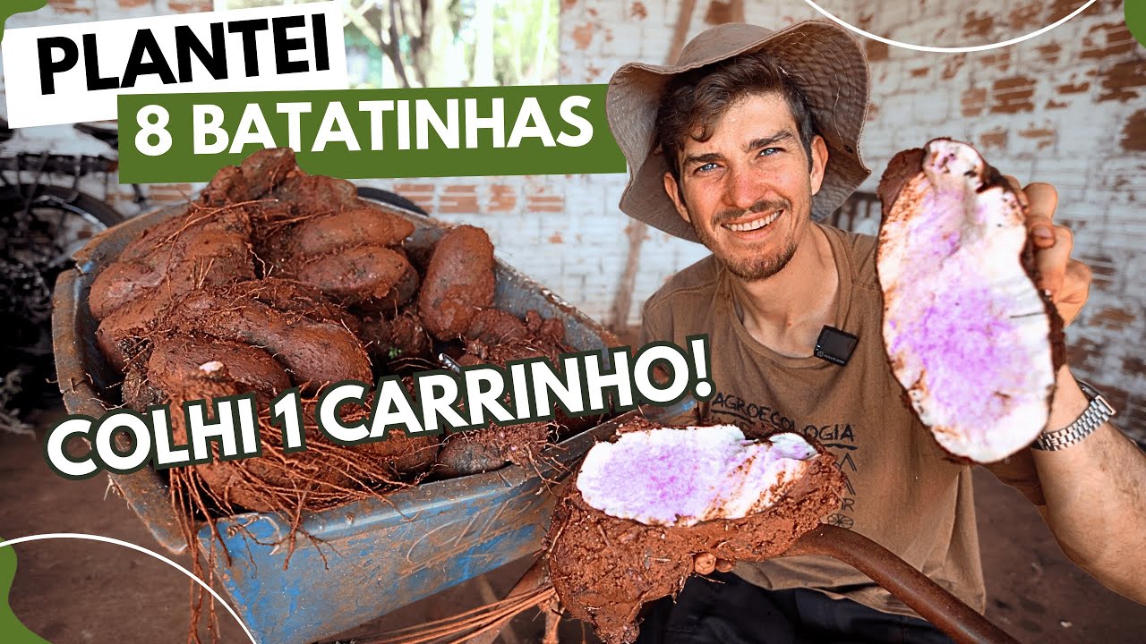 Mais um jeito de PRODUZIR COMIDA e TERRA FÉRTIL