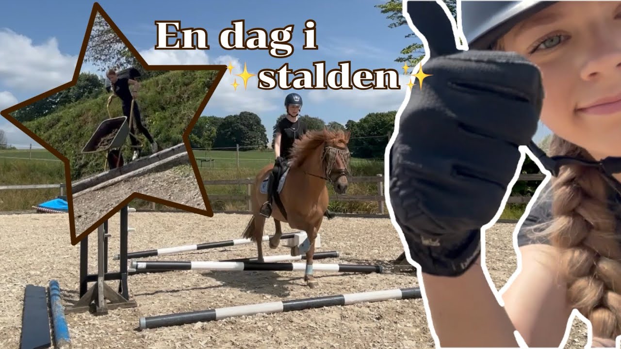 En Dag i Stalden Med Mig og Armani