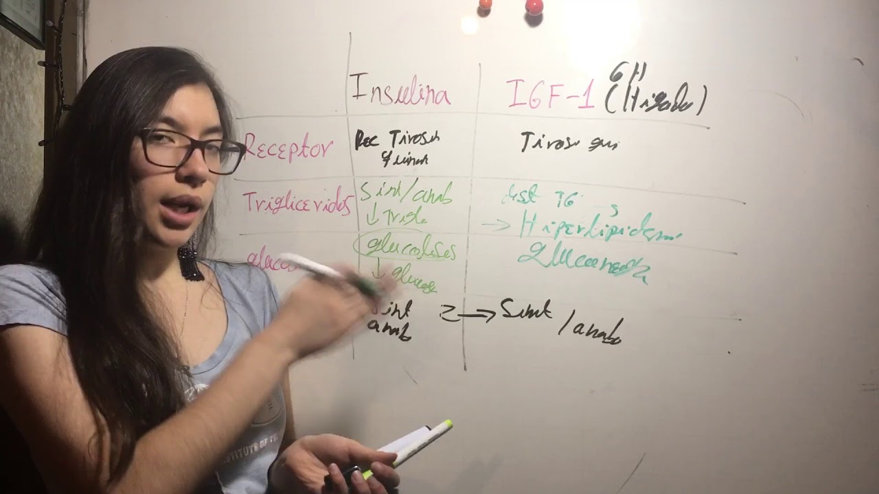 Comparación Insulin vs IGF-1. Endocrino