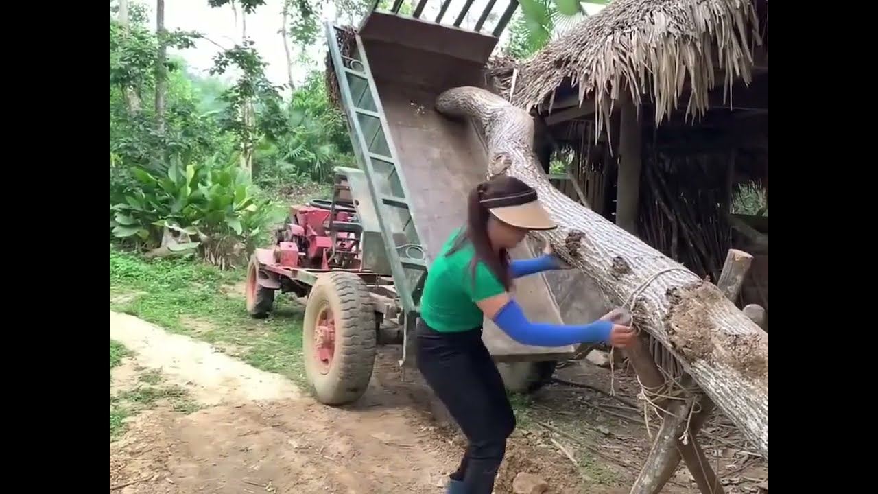 Transporting timber alone on country roads | Timber transfer inthe wild alone girl | Wild Survival