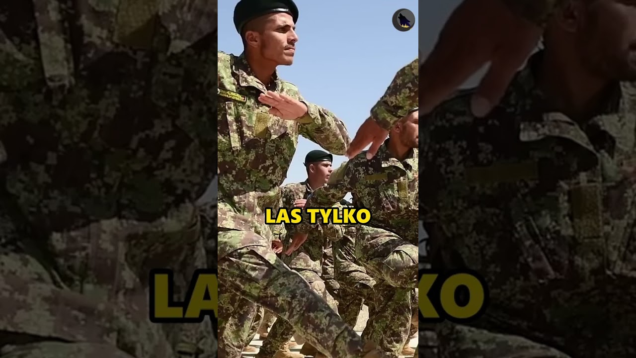 Najgorsze Wojskowe Kamuflaże Świata 🎖️