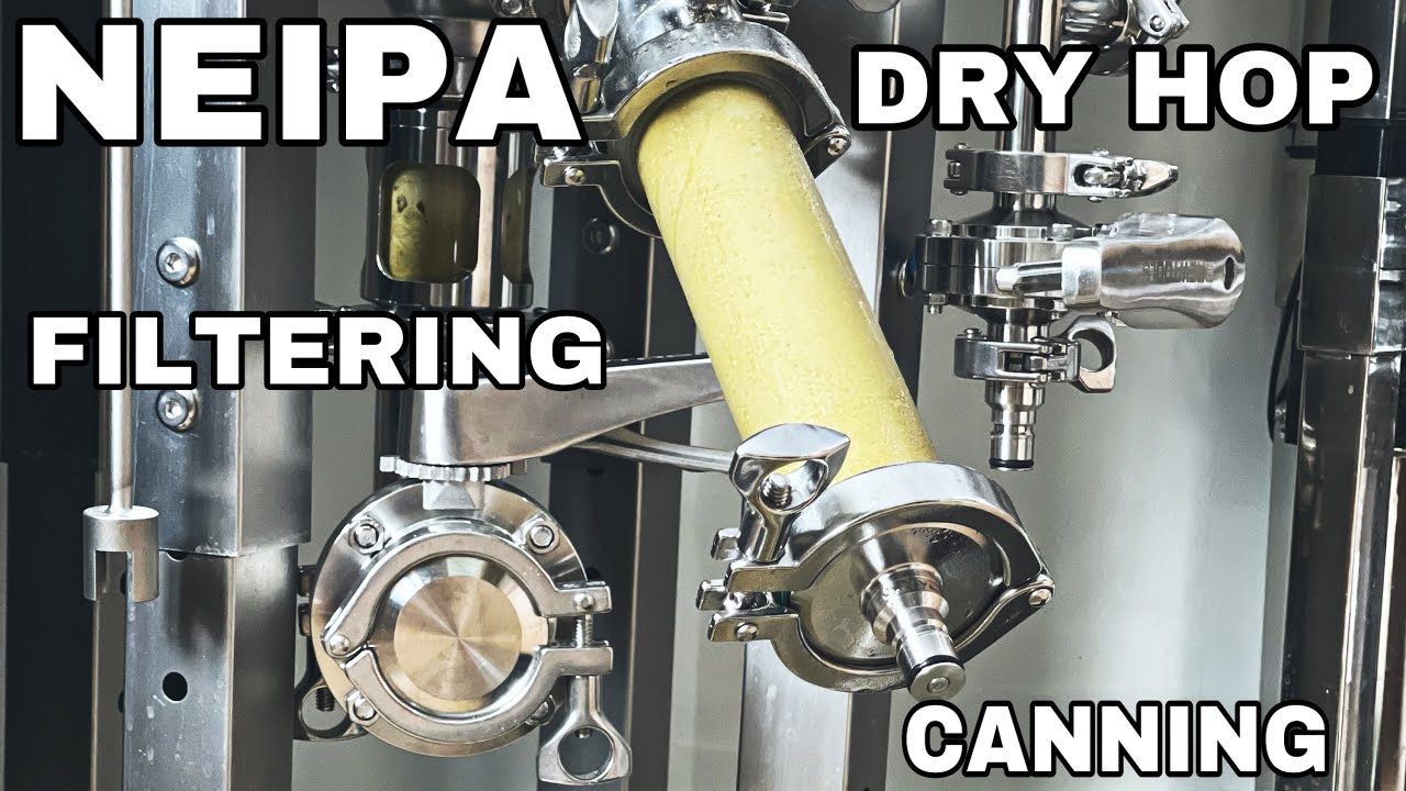 Dry Hopping, Filtering & Canning My NEIPA from the Brewtools F80 Unitank