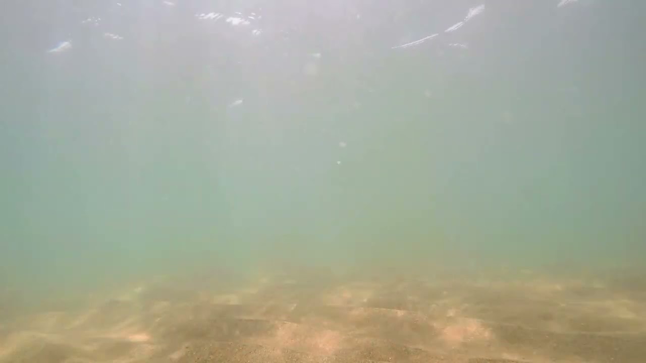 Underwater Videos - Compilation 30 Minutes Free HD Videos