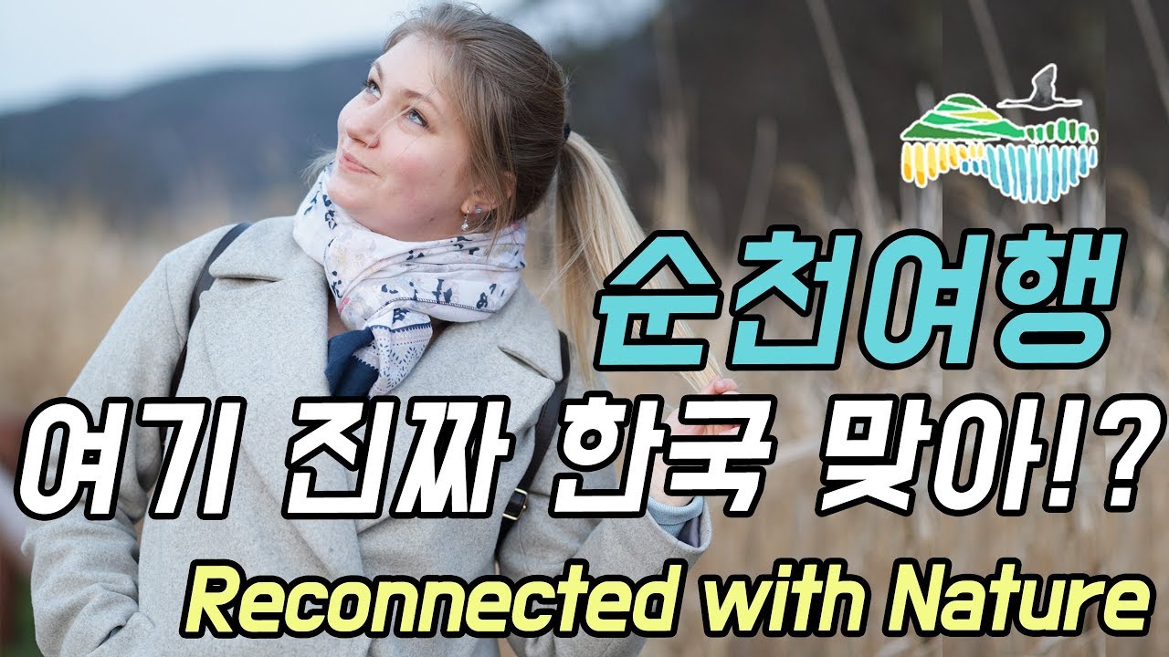 대자연 순천만에 놀란 외국인 이게 정말 한국 맞아?! (ft.안구정화) [6시 니고향: 순천 편]