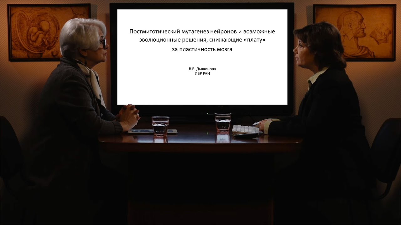 &laquo;Постмитотический мутагенез нейронов и возможные эволюционные решения&raquo;. Гость: Дьяконова В.Е.