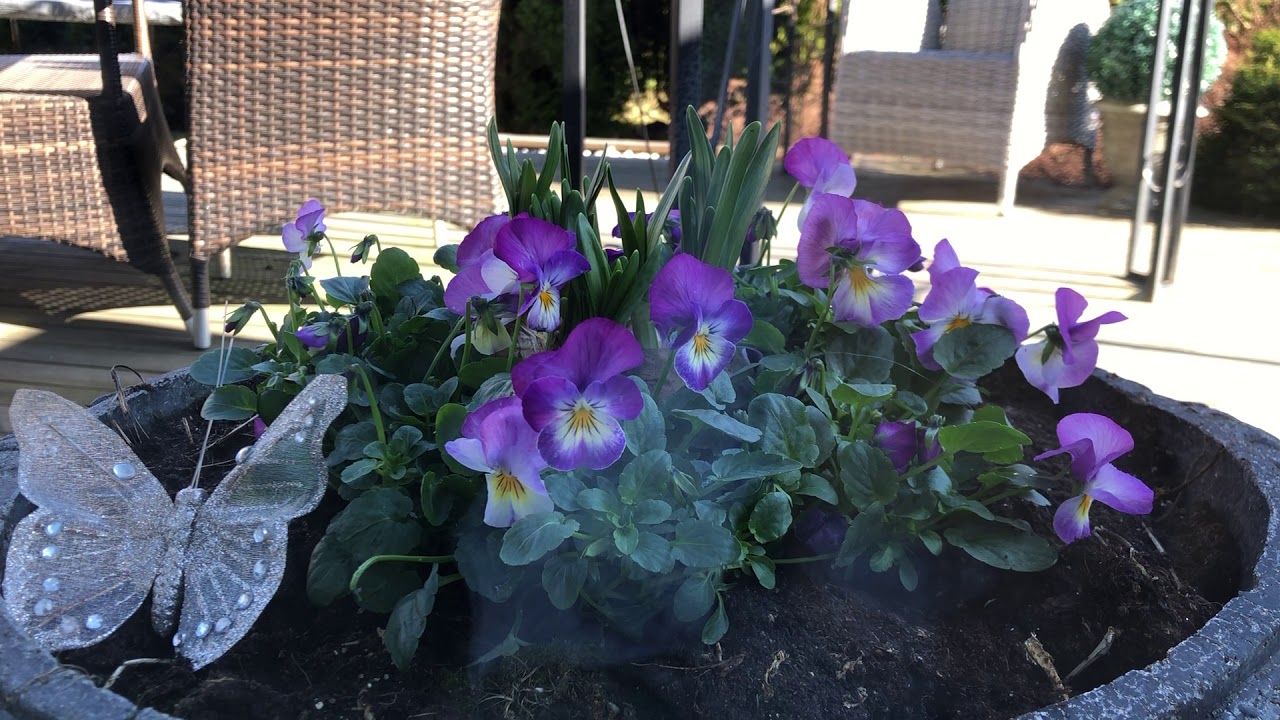 ❤️Meditasjon for Selv Kjærlighet og Trygghet❤️ Self Love Meditation ❤️