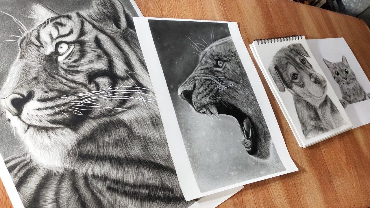 How I draw Fur ? Charcoal