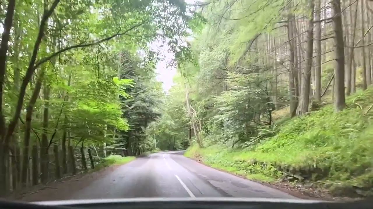 Scotland Dairies Part 1